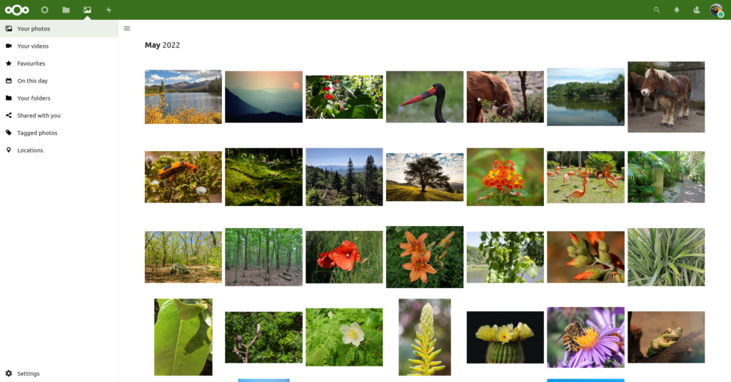 Screenshot of a NextCloud photo gallery, showing lots of photos of plants and animals arranged in a grid.