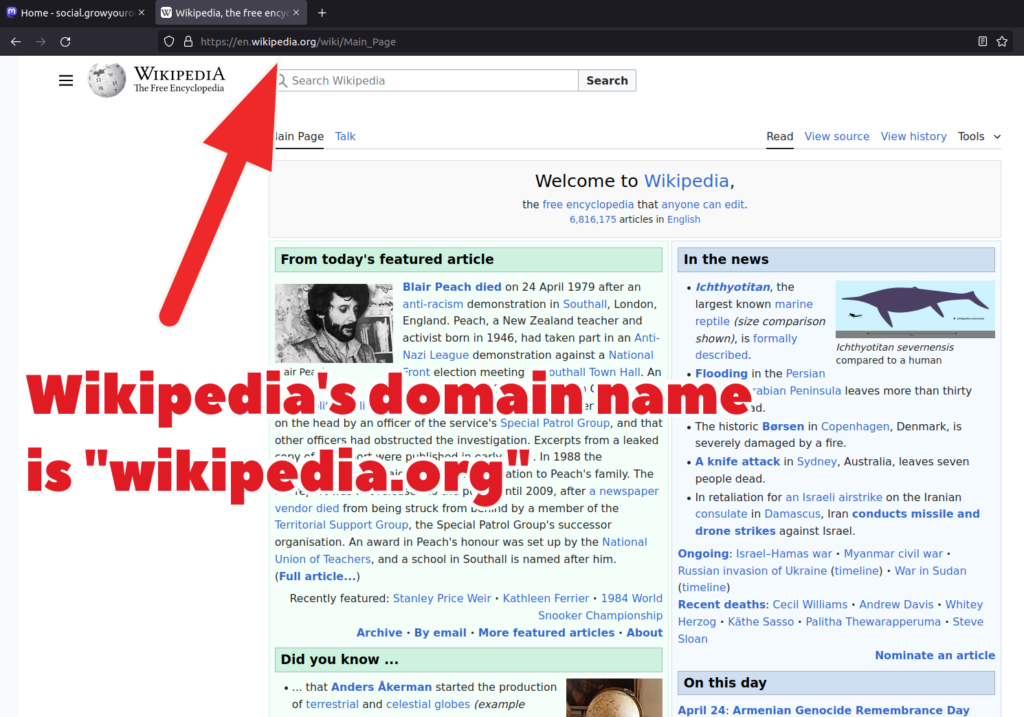 Screenshot of English language Wikipedia viewed in a web browser. The address in the top is highlighted and there is a caption saying "Wikipedia's domain name is wikipedia.org".